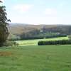 PFT welcomes $500,000 funding from federal government to assist farm forestry