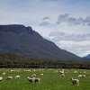 Tasmanian RFA outcomes report released