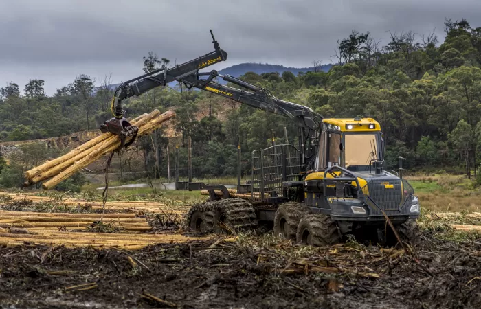 Harvesting commercial timber at Greenythe property