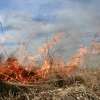 Red Hot Tips: Fire management for Tassie farmers