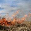 Red Hot Tips: Fire management for Tassie farmers