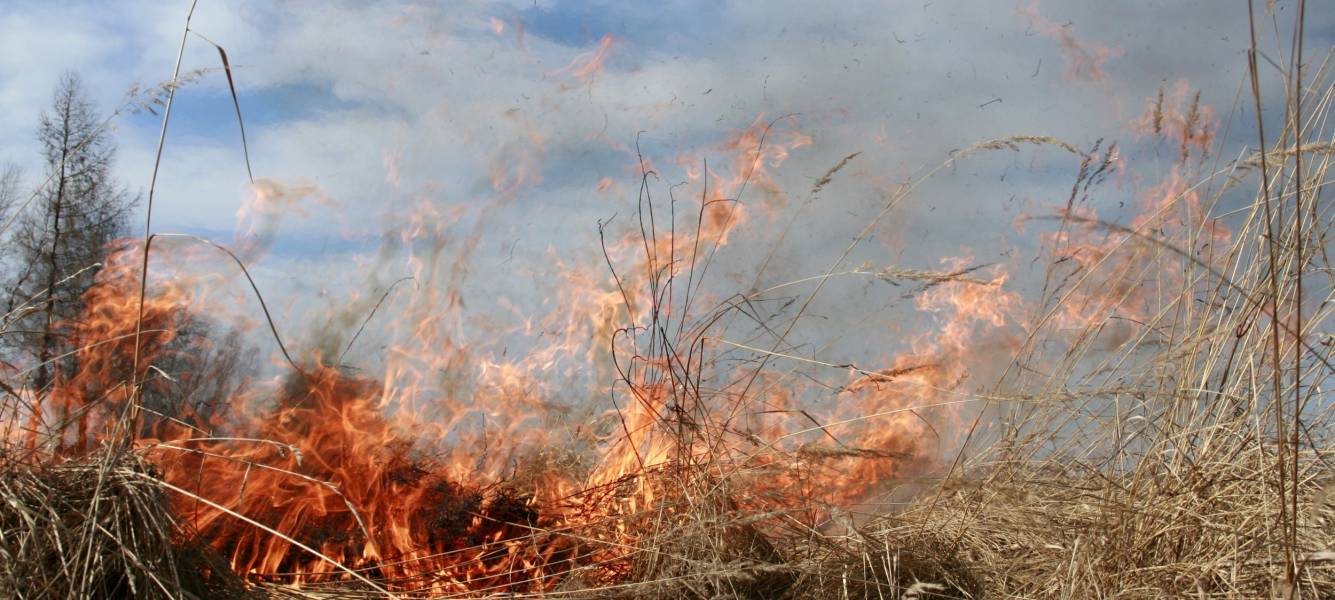 Red Hot Tips: Fire management for Tassie farmers