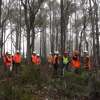 What the 2024-25 Tasmanian Budget means for forestry