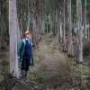 Harvesting trees: What you need to know