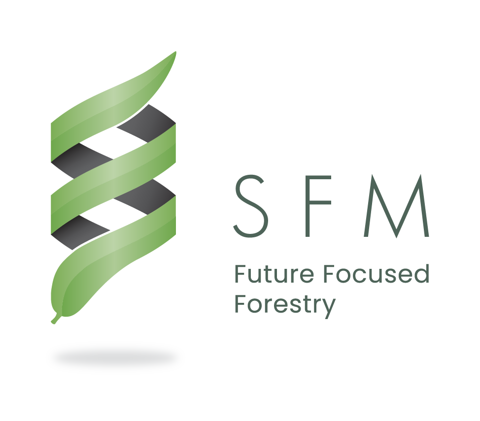 SFM FFF Logo Stacked Large