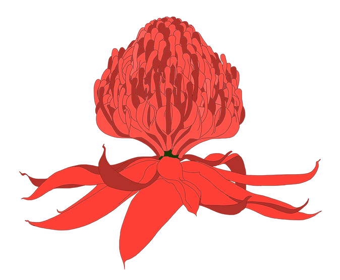 Waratah Logo