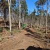 Sound science needed to assess carbon impacts of timber harvesting