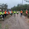 Successful private native forest management celebrated