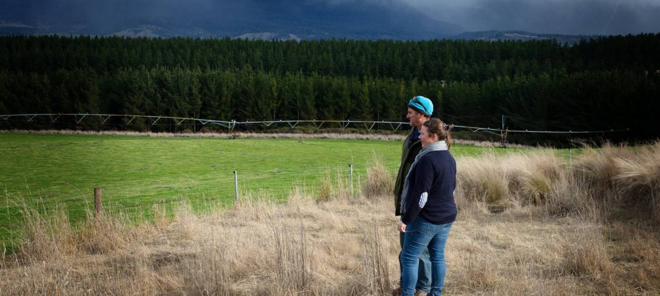 Media Release: ActivAcre program heralds a new era in Tasmanian agroforestry