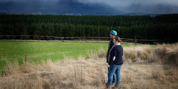 ActivAcre carbon credit program heralds a new era in Tasmanian agroforestry