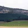 Access to Carbon Forestry Projects now expanded Tasmania-wide