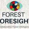 Forest Foresight - Collaborative Forest Intelligence