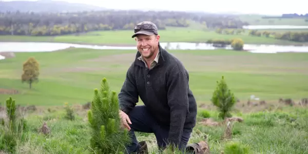 The benefits of planting trees at Chester Farm, Westwood