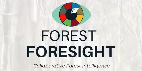Forest Foresight - Collaborative Forest Intelligence
