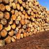 Senate Select Committee inquiry into the Tasmanian Freight Equalisation Scheme