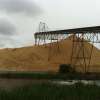 $15 million investment in new ship loader to boost Bell Bay's forestry exports
