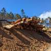 Hon. Eric Abetz MP: Labelling imported timber a must