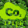 Tasmanian forests and the carbon market:  Barriers and opportunities