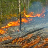 Spring is the time for fuel reduction burning