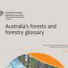 Australia's forests and forestry glossary launched