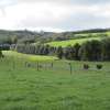 Standing with Tasmania's forestry industry:  buy local