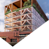 Primed for Growth:  A situation analysis of the Tasmanian Forest and Wood Products Sector