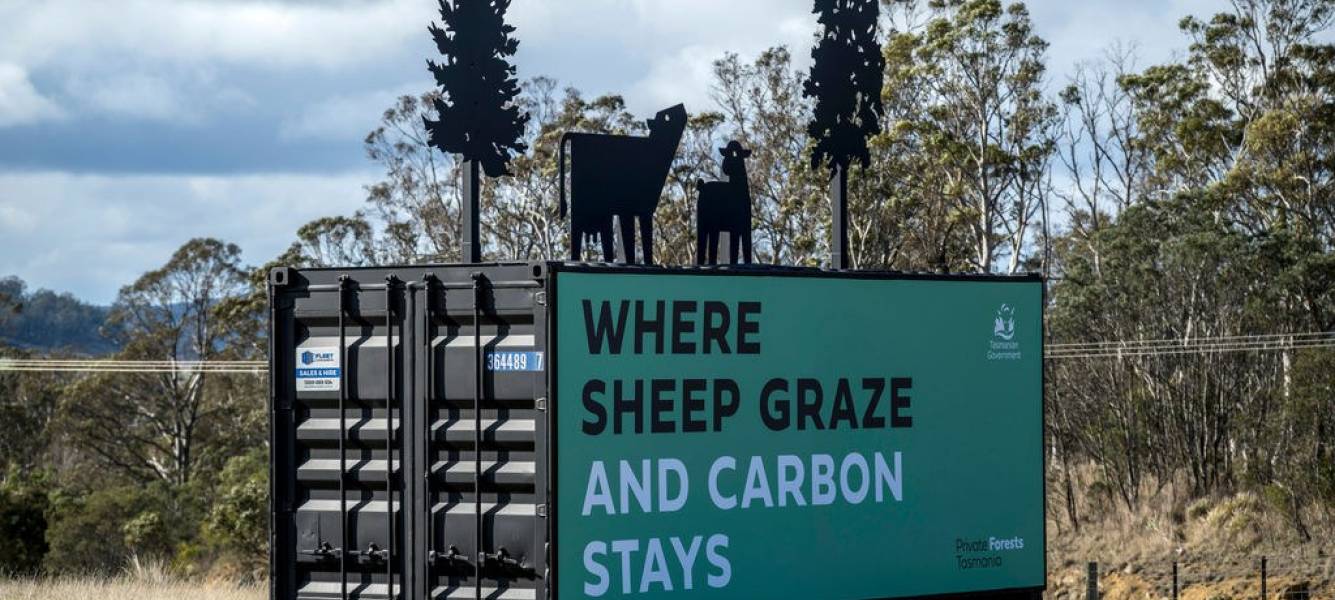 Have you seen our Stems for CO2 Project signage on the Midlands Highway?