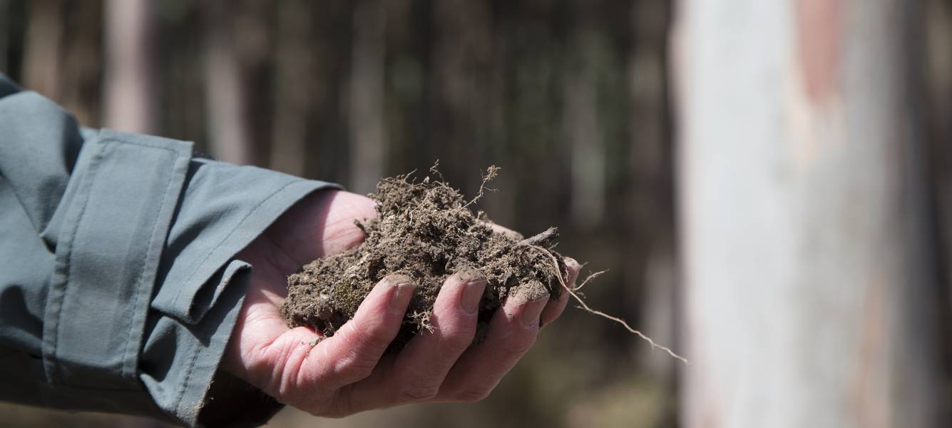 Tasmanian High Soil Carbon Landscapes project