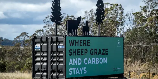 Have you seen our Stems for CO2 Project signage on the Midlands Highway?
