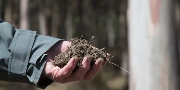 Tasmanian High Soil Carbon Landscapes project