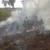 Spring is the time for fuel reduction burning