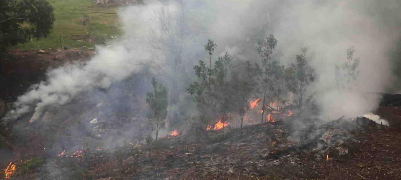 Spring is the time for fuel reduction burning