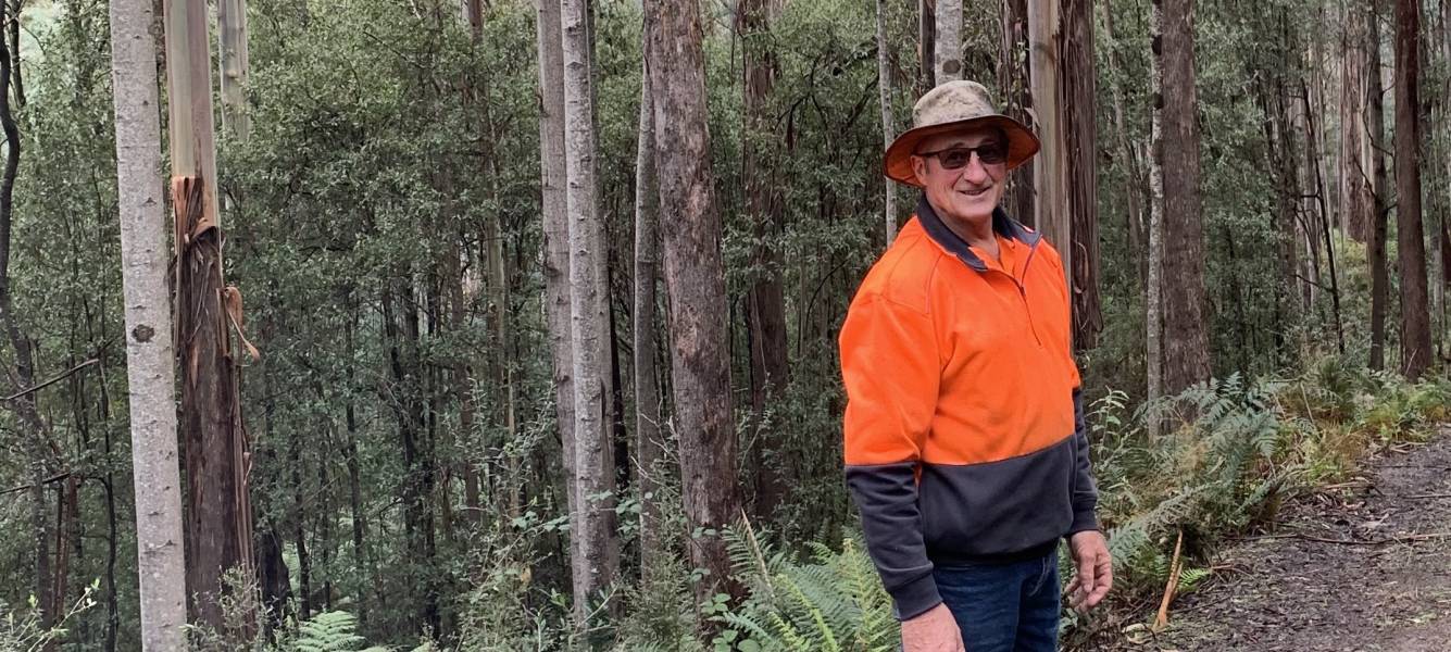 Managing native regrowth forests and plantations at Port Arthur
