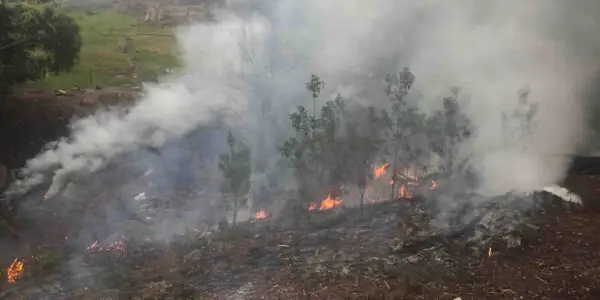 Spring is the time for fuel reduction burning