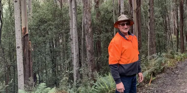 Managing native regrowth forests and plantations at Port Arthur