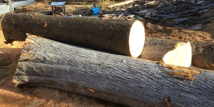 Roger Poltock 2026 hybrid logs
