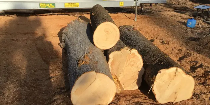 Roger Poltock hybrid logs 2026