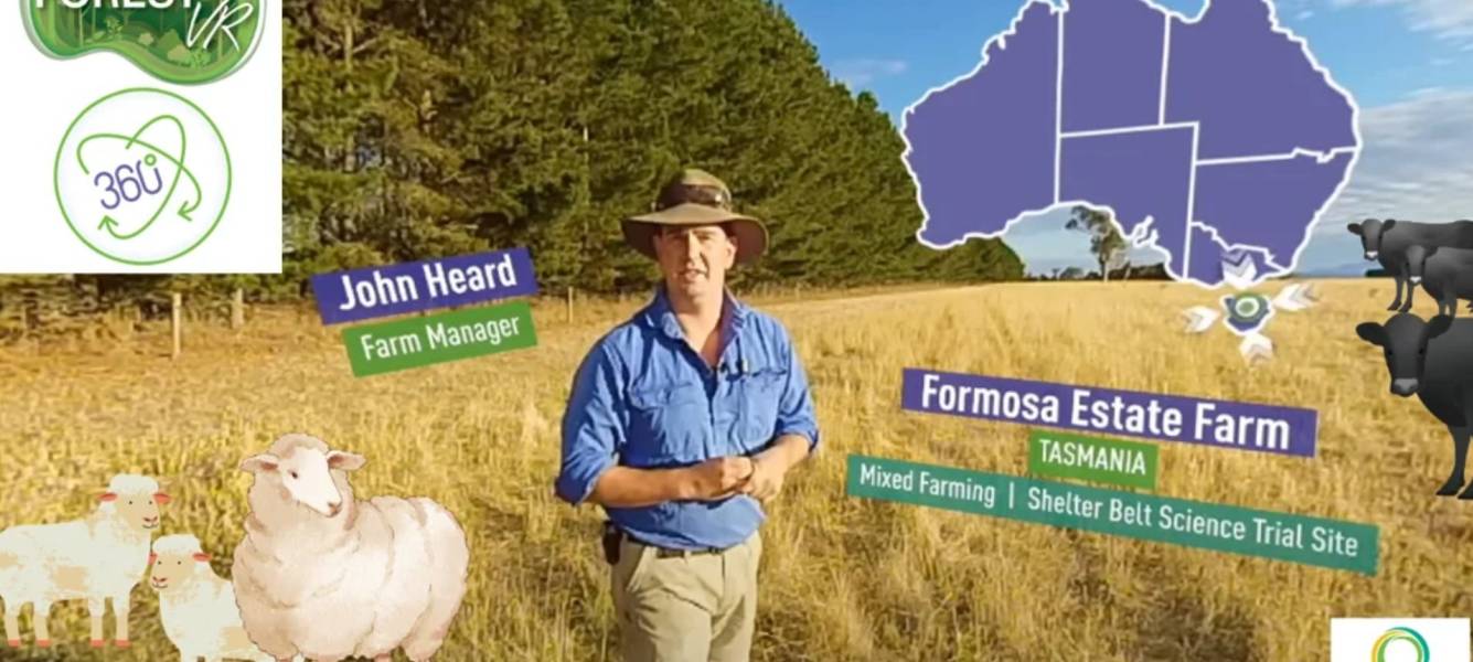 Formosa Estate virtual reality video - Shelterbelts increase pasture growth