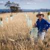 Trees: The ultimate renewable according to statistics