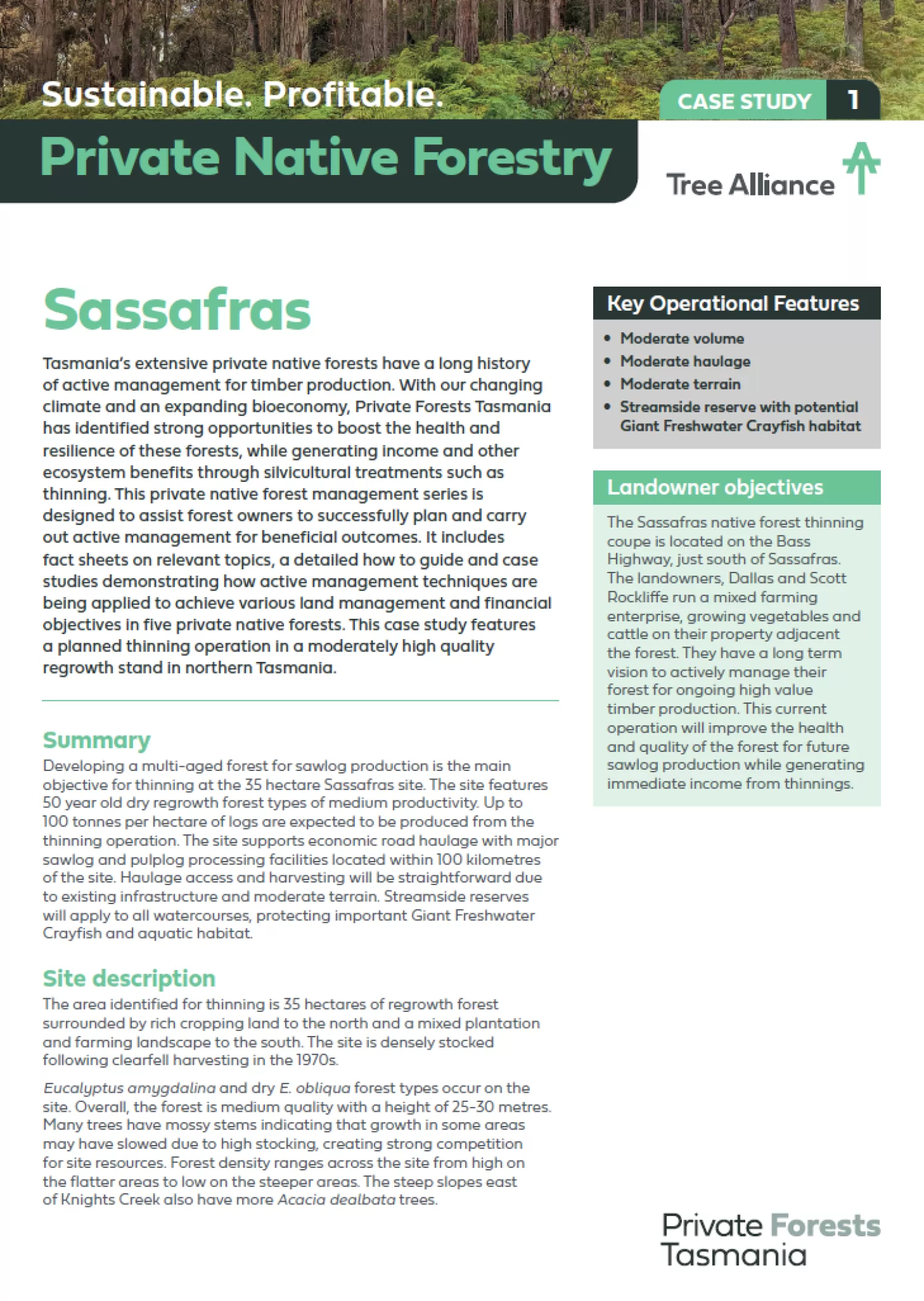 Native Forest Case Study 1 Sassafrass
