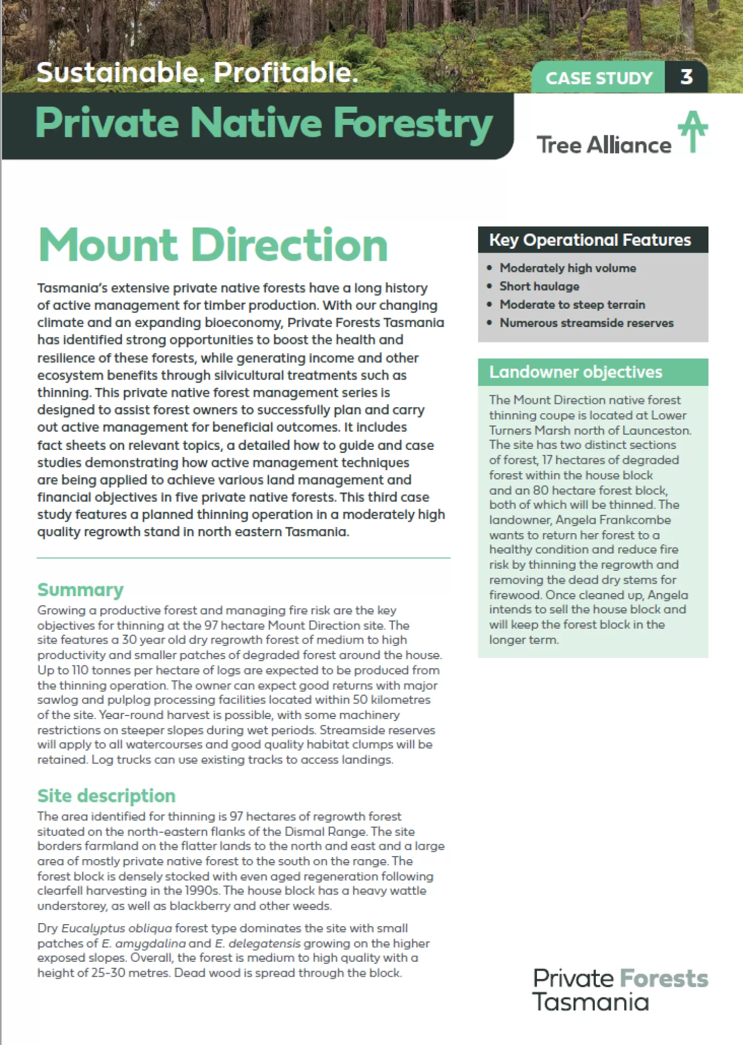 Native Forest Case Study 3 Mount Direction