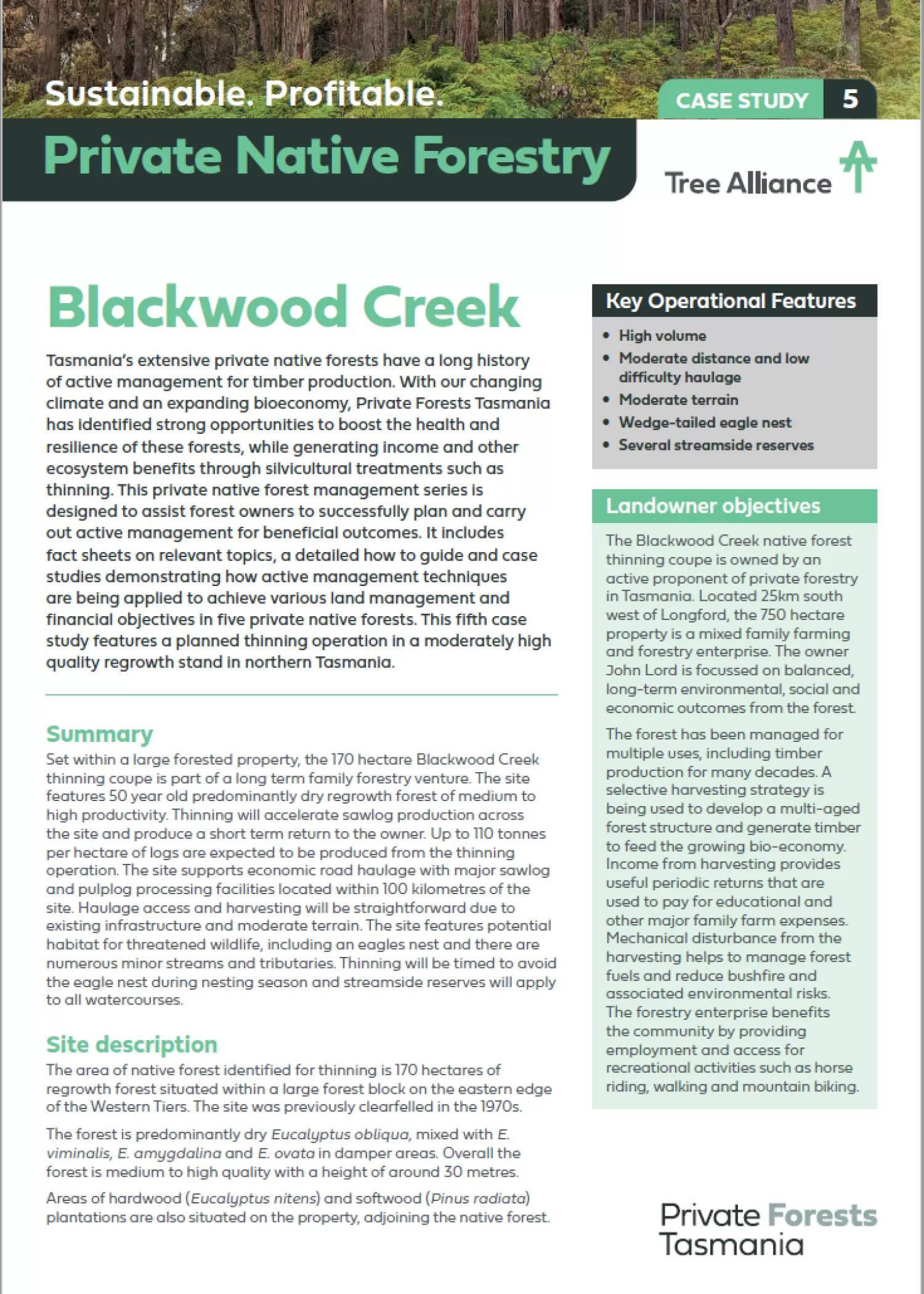 Native Forest Case Study 5 Blackwood Creek
