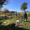 Riparian plantings: Multiple benefits for farms and waterways
