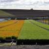 Check out the Tasmanian nursery that's helping grow the future for farmers