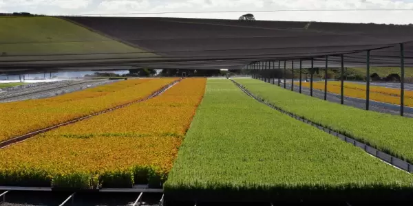 Check out the Tasmanian nursery that's helping grow the future for farmers