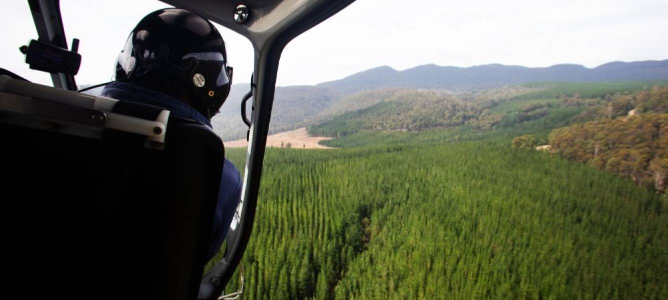 Trial of early forest fire detection technology decreases response times and increases safety