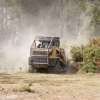Managing Gorse in Tasmanian forests: Vision, regulation and persistence