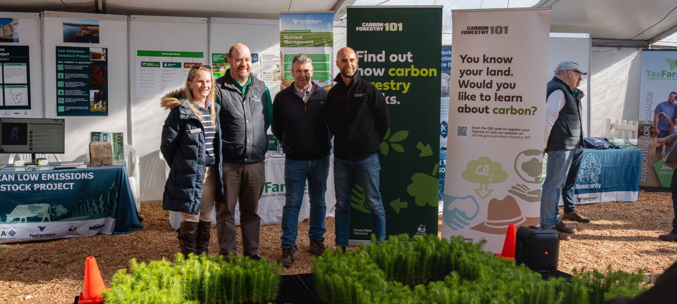Unpacking how carbon forestry works