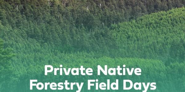 Private Native Forest Field Day - South