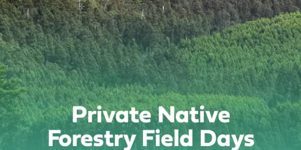 Private Native Forestry Field Day